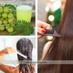 Health Benefits of Amla