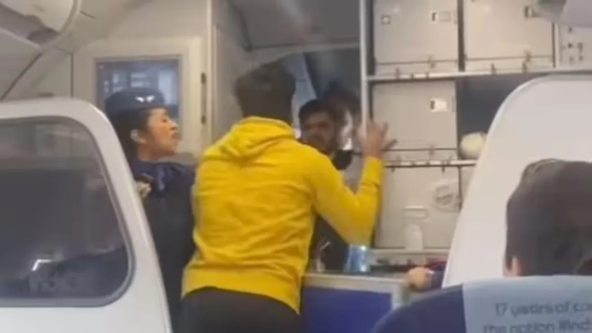 IndiGo Passenger Hits Pilot