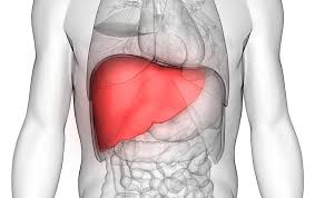 Cirrhosis of the liver