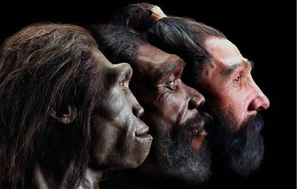 Neanderthal