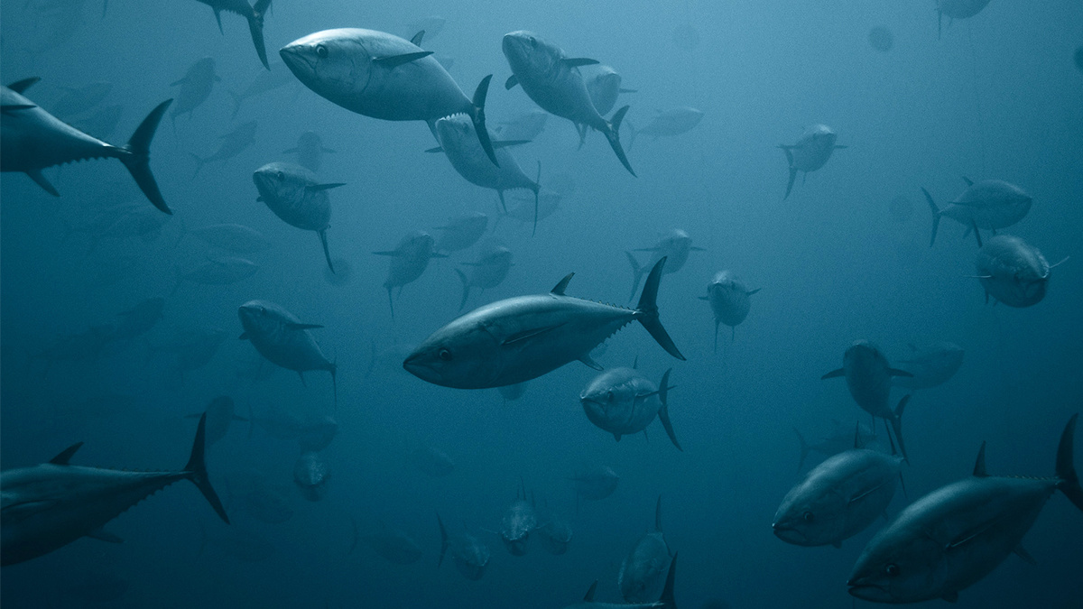 Ocean Oxygen