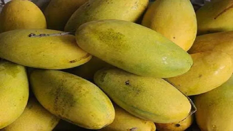 Dussehri Mango