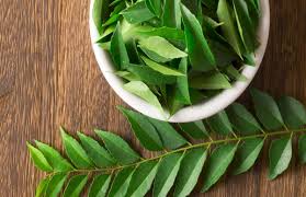 Benefits of Curry Leaves