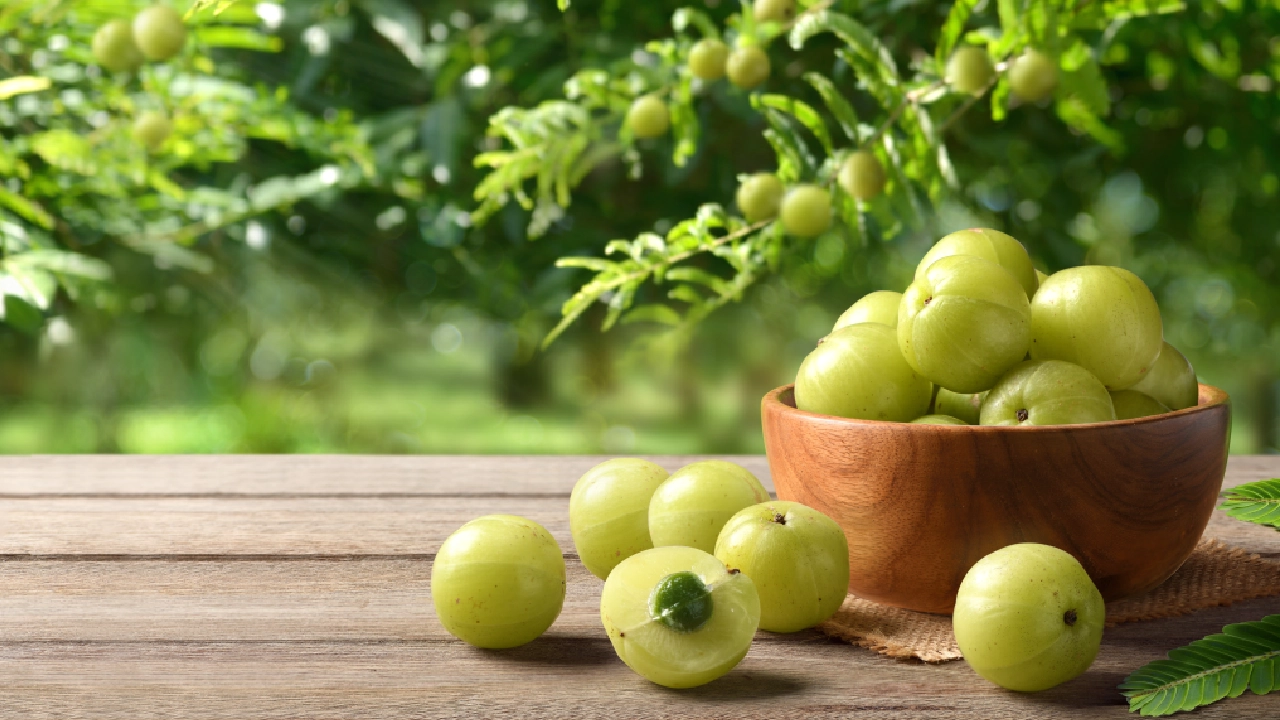 Indian Gooseberry