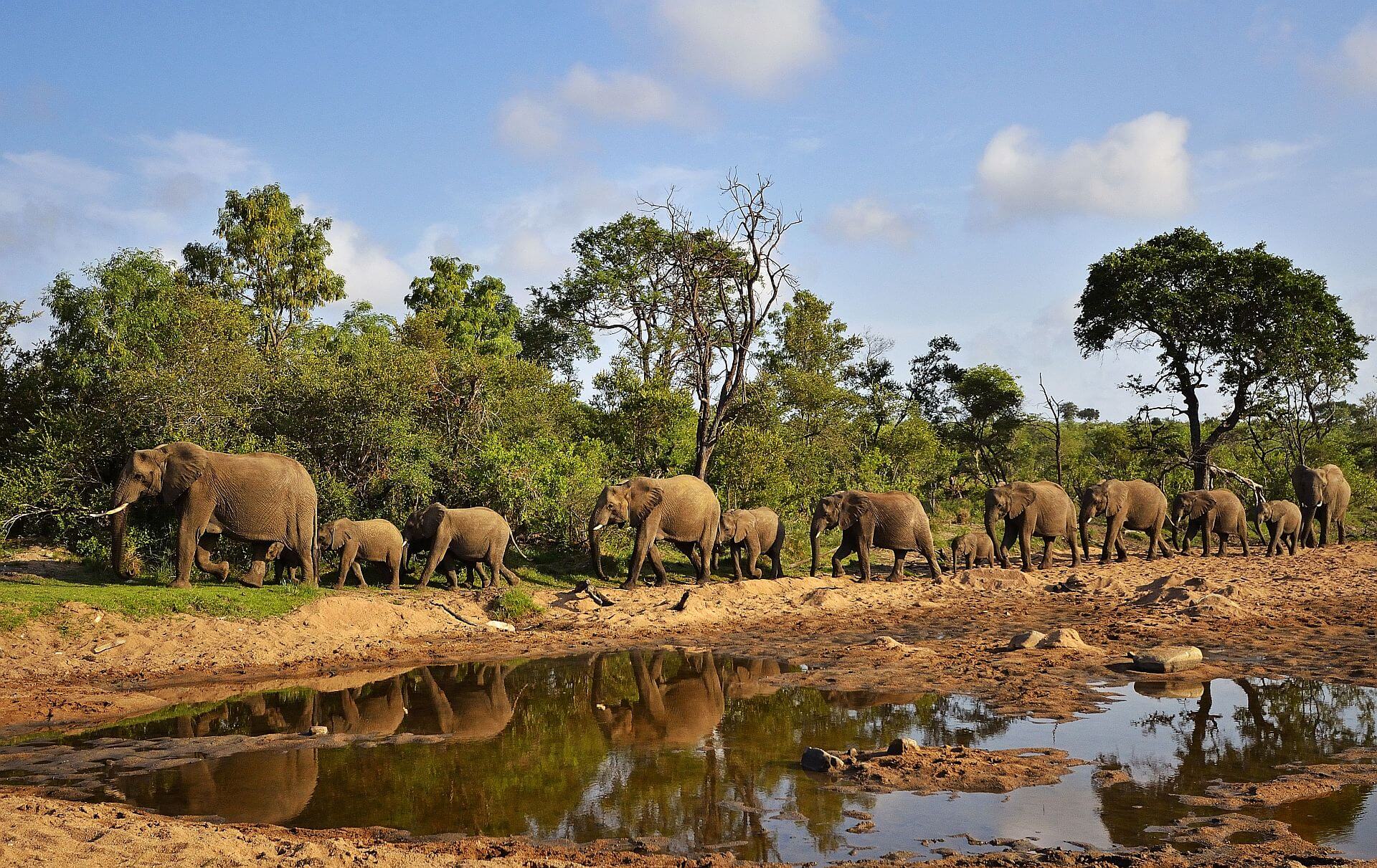 Satmaliya Wildlife Sanctuary