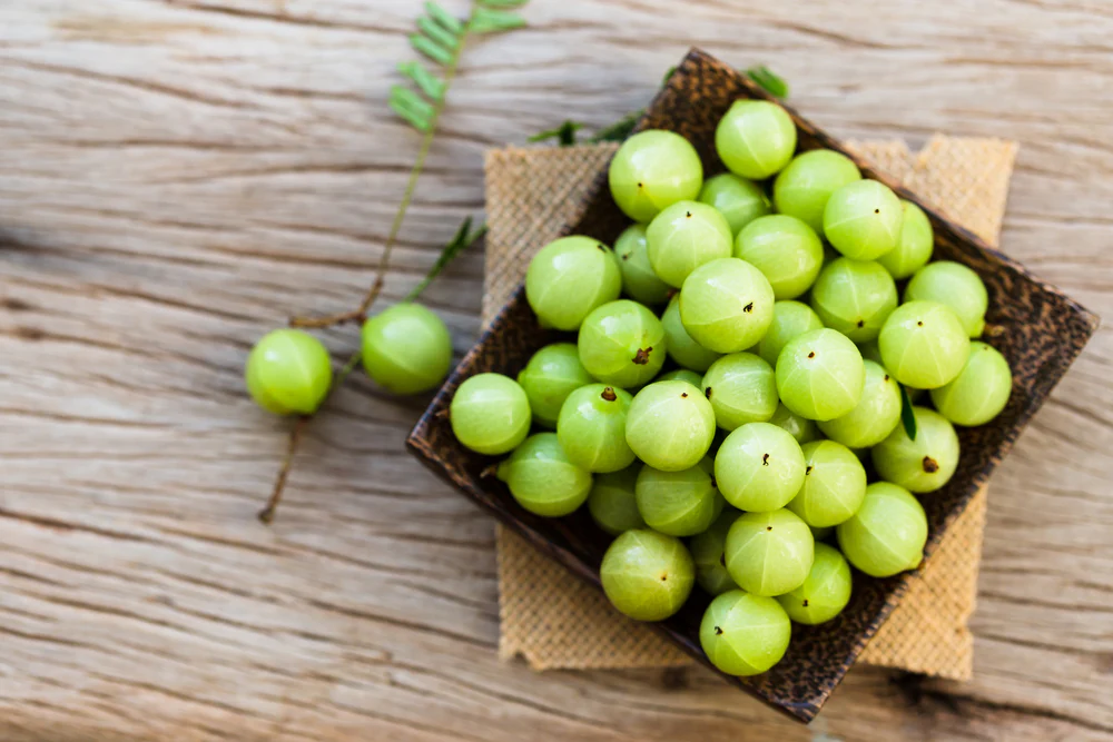 Indian Gooseberry