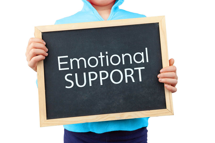 Emotional Support