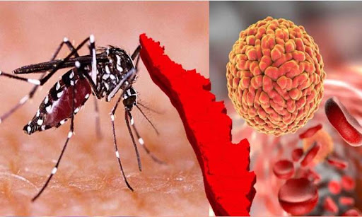 Zika Virus In India