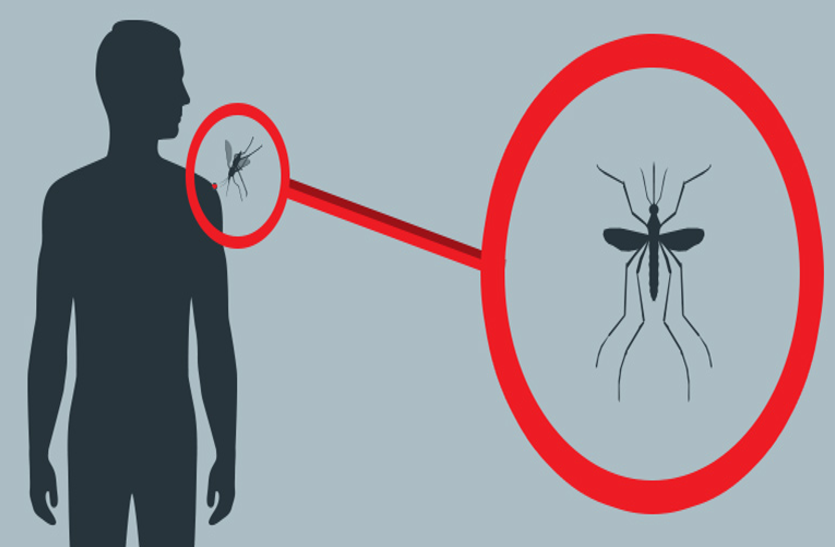 Zika Virus In India