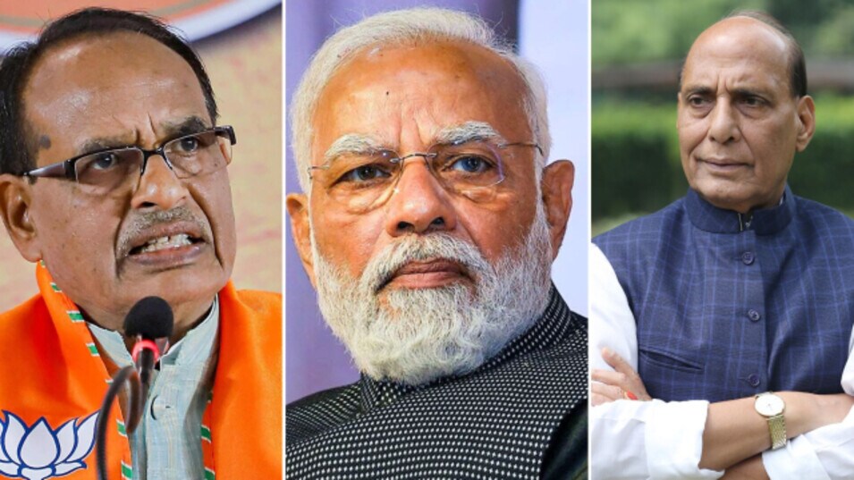 BJP New President