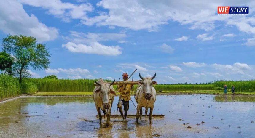 Monsoon Effect on Farmers