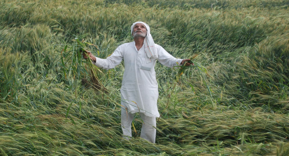 Monsoon Effect on Farmers