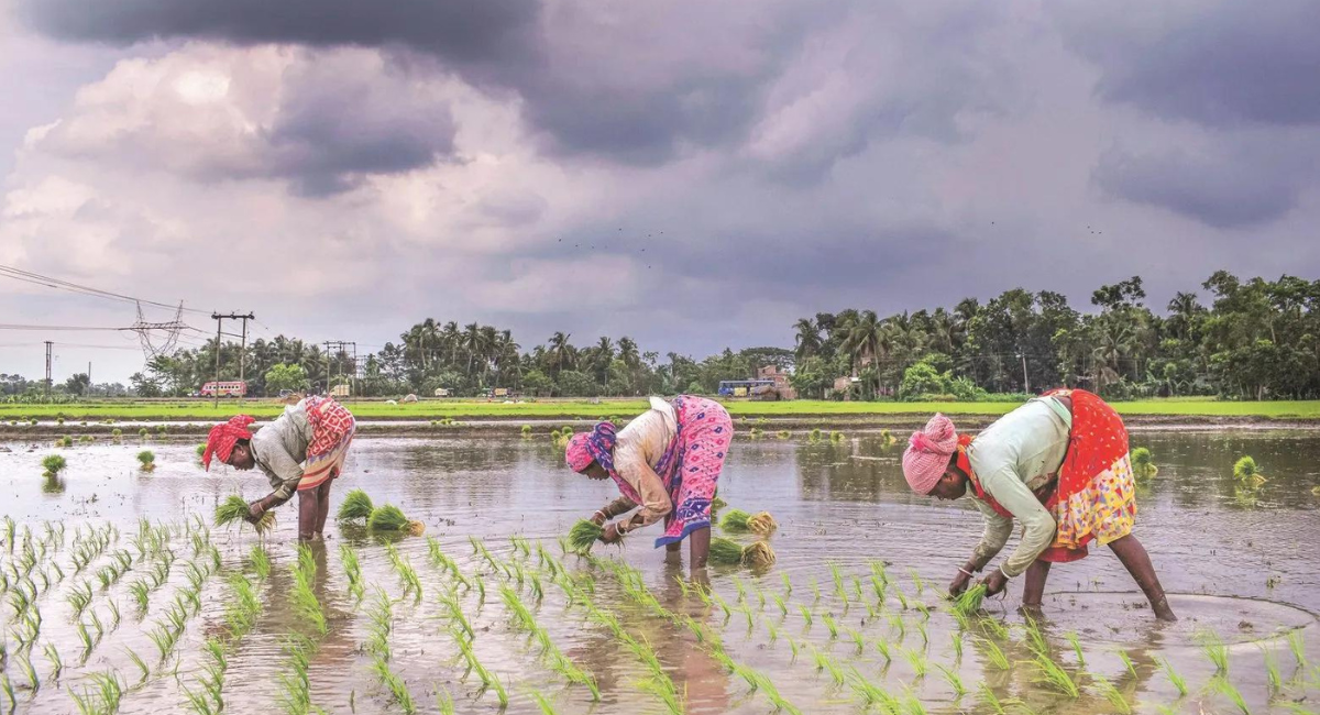 Monsoon Effect on Farmers