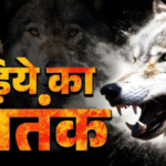 Wolf Terror in UP