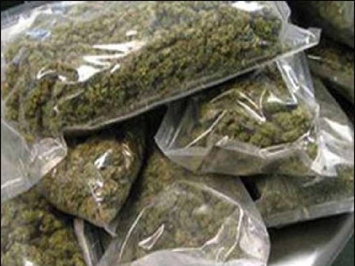 Drugs Case