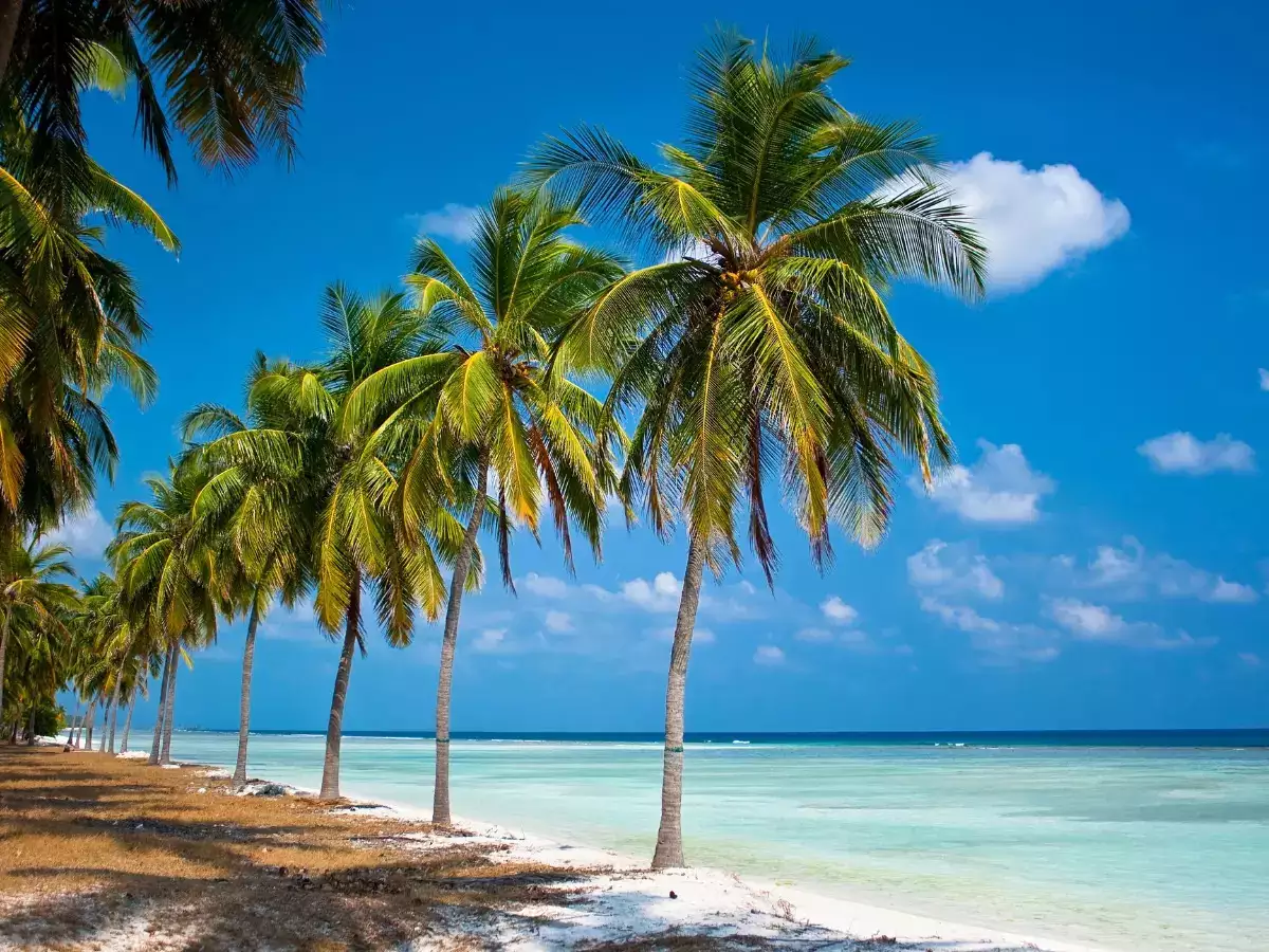 Lakshadweep Beauty