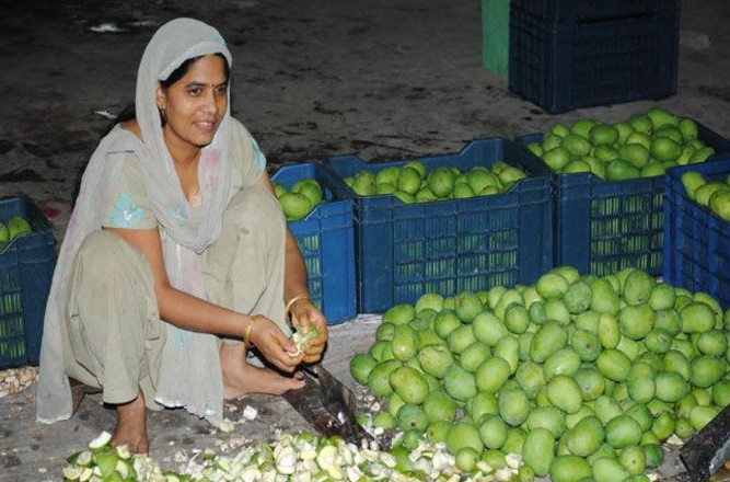 Krishna Yadav, Shri Krishna Pickles