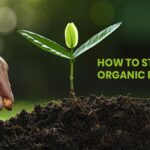 Organic Farming Business
