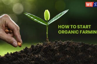 Organic Farming Business