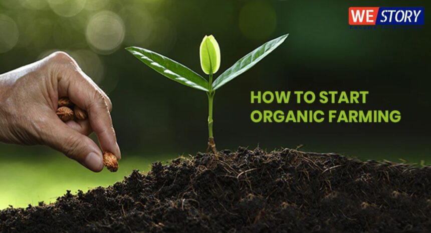 Organic Farming Business