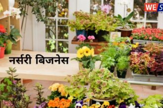 Nursery Plant Business