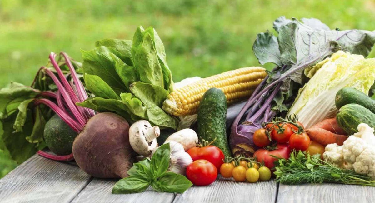 Organic Farming Business