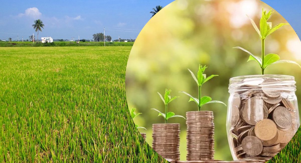 Organic Farming Business