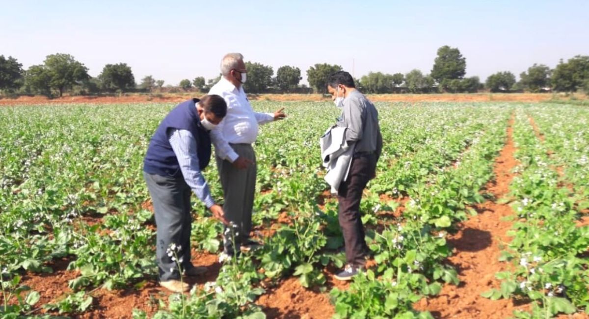 Organic Farming Business