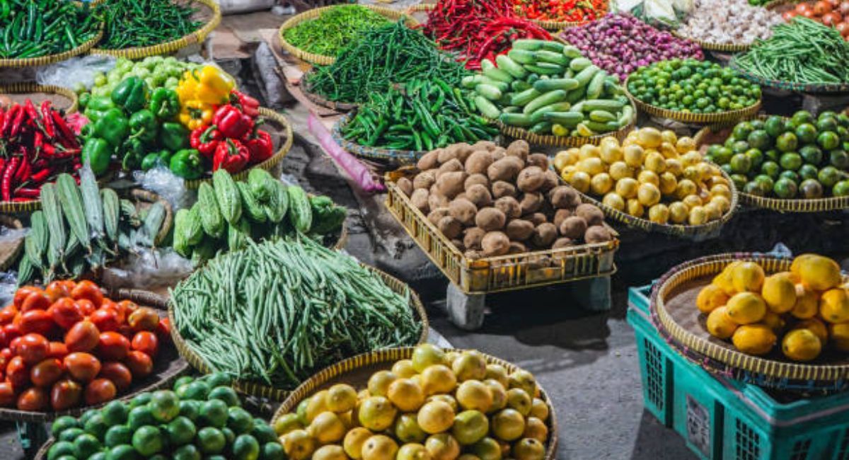 Organic Farming Business