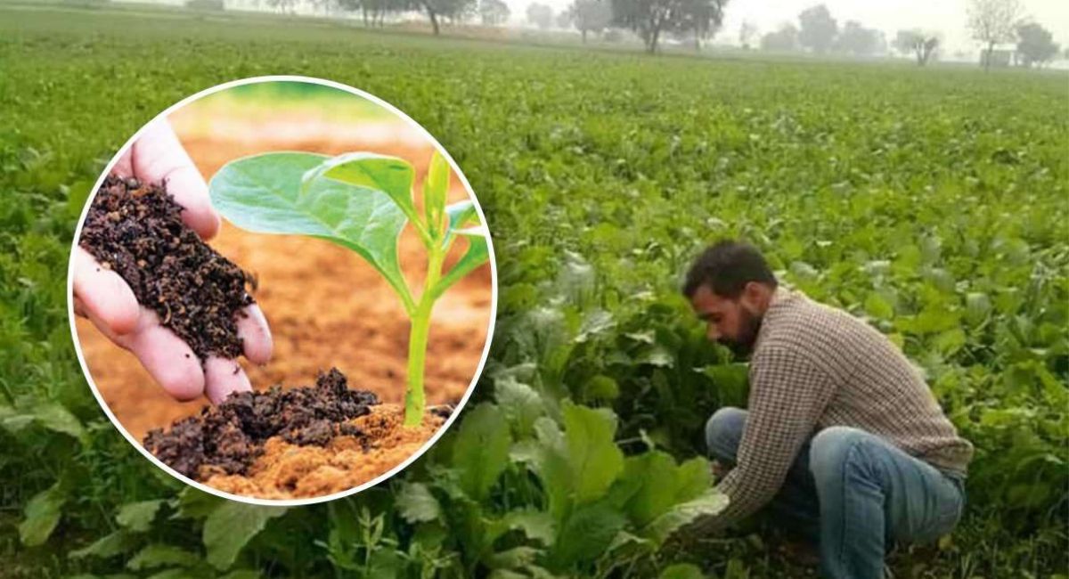 Organic Farming Business