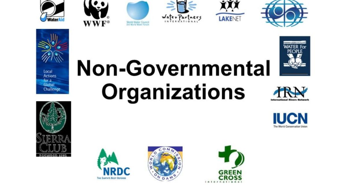 Non-Government Organizations : शिक्षा, भूख से राहत, महिला सशक्तीकरण और सामाजिक कल्याण के क्षेत्र में काम