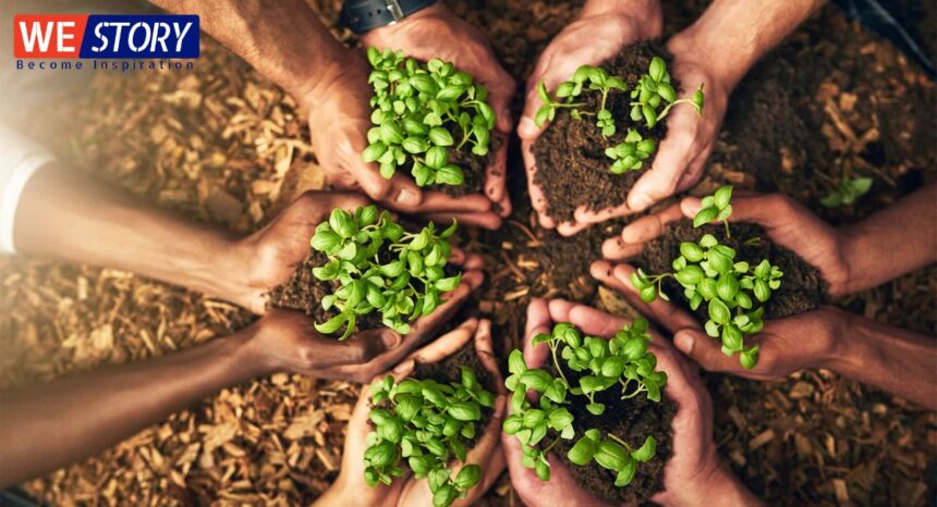 EcoFriendly Business