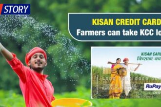 KCC LOAN