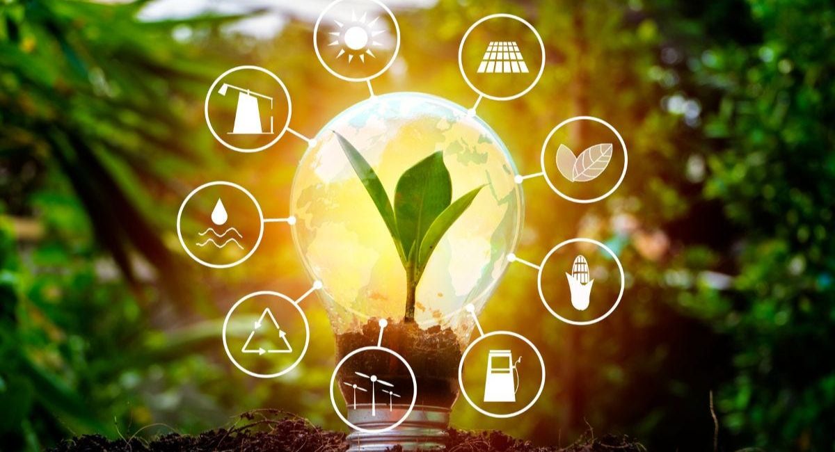 EcoFriendly Business