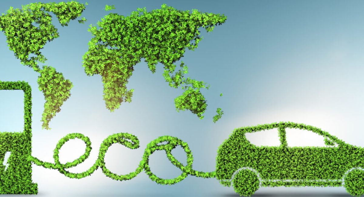 EcoFriendly Business