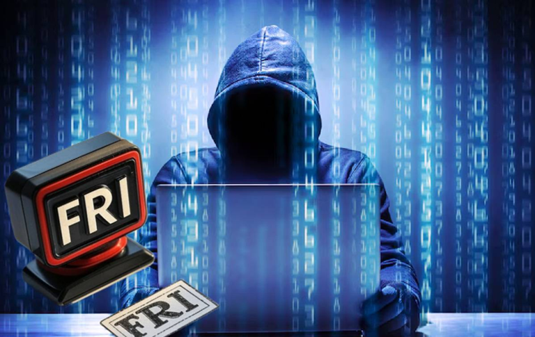 Cyber Fraud