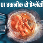 Intrauterine Insemination or IVF