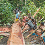 Sustainable Development goals