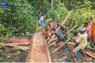 Sustainable Development goals