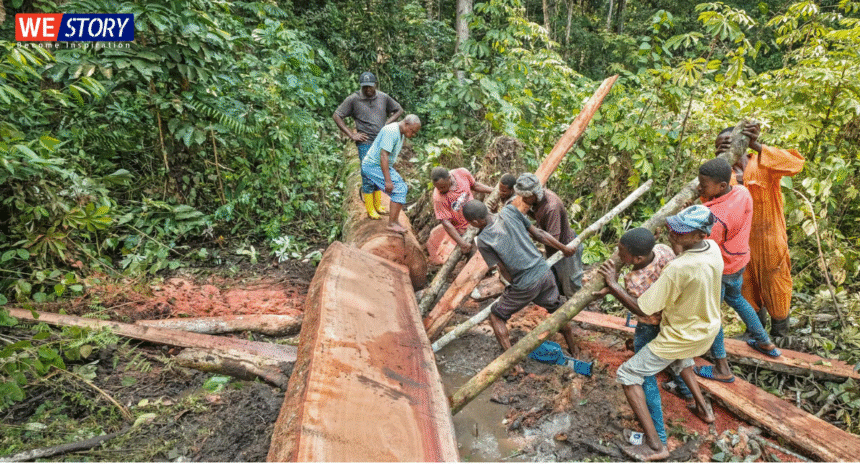 Sustainable Development goals